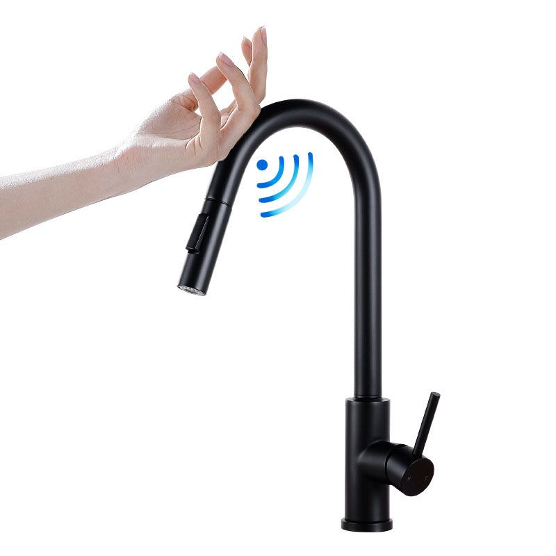 1-Handle Faucet Touch Stainless Steel with Water Dispenser Standard Kitchen Faucet Clearhalo 'Home Improvement' 'home_improvement' 'home_improvement_kitchen_faucets' 'Kitchen Faucets' 'Kitchen Remodel & Kitchen Fixtures' 'Kitchen Sinks & Faucet Components' 'kitchen_faucets' 1200x1200_783b6e9b-2b73-4627-9aa4-97205ab4951c