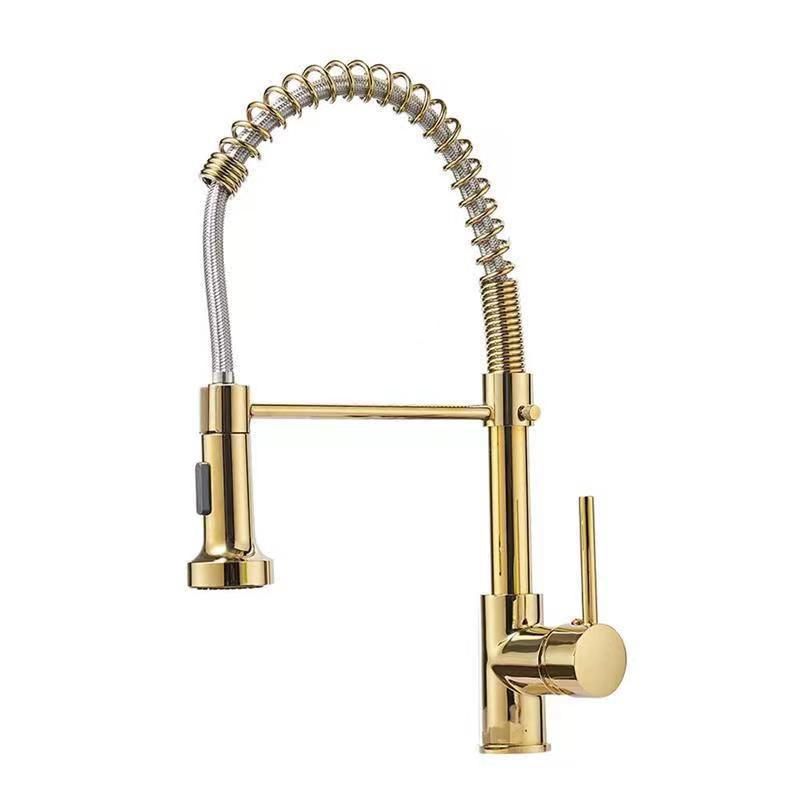 Modern 1-Handle Faucet Spring Spout with Water Dispenser Standard Kitchen Faucet Clearhalo 'Home Improvement' 'home_improvement' 'home_improvement_kitchen_faucets' 'Kitchen Faucets' 'Kitchen Remodel & Kitchen Fixtures' 'Kitchen Sinks & Faucet Components' 'kitchen_faucets' 1200x1200_79ddb070-c5cf-4dee-b882-1c242a00fb4a