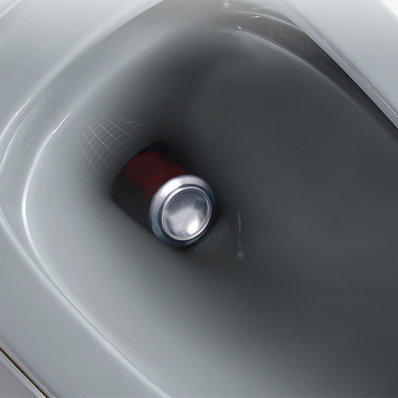 Traditional Floor Mounted Toilet Siphon Jet One-Piece Flush Toilet with Slow Close Seat Clearhalo 'Bathroom Remodel & Bathroom Fixtures' 'Home Improvement' 'home_improvement' 'home_improvement_toilets' 'Toilets & Bidets' 'Toilets' 1200x1200_7a6177db-7f65-4cfb-98fe-1748484a63a5