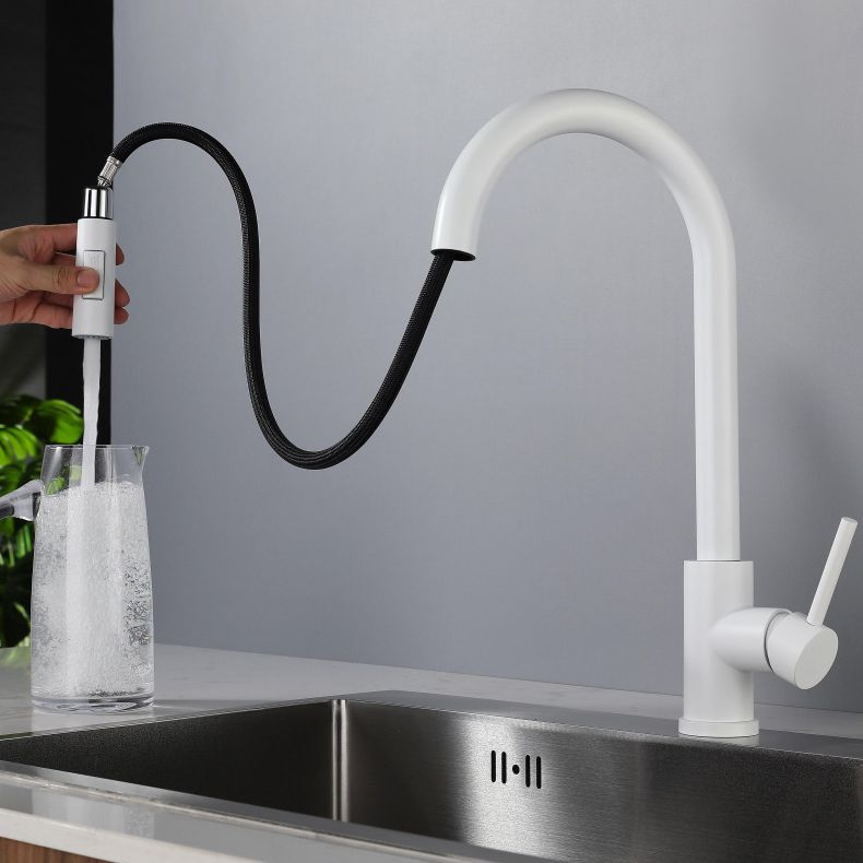 Modern Style Retractable Kitchen Faucet Stainless Steel 1-Handle Kitchen Faucet Clearhalo 'Home Improvement' 'home_improvement' 'home_improvement_kitchen_faucets' 'Kitchen Faucets' 'Kitchen Remodel & Kitchen Fixtures' 'Kitchen Sinks & Faucet Components' 'kitchen_faucets' 1200x1200_7c4b0e89-53c7-436f-830a-f0dcf30da6ea