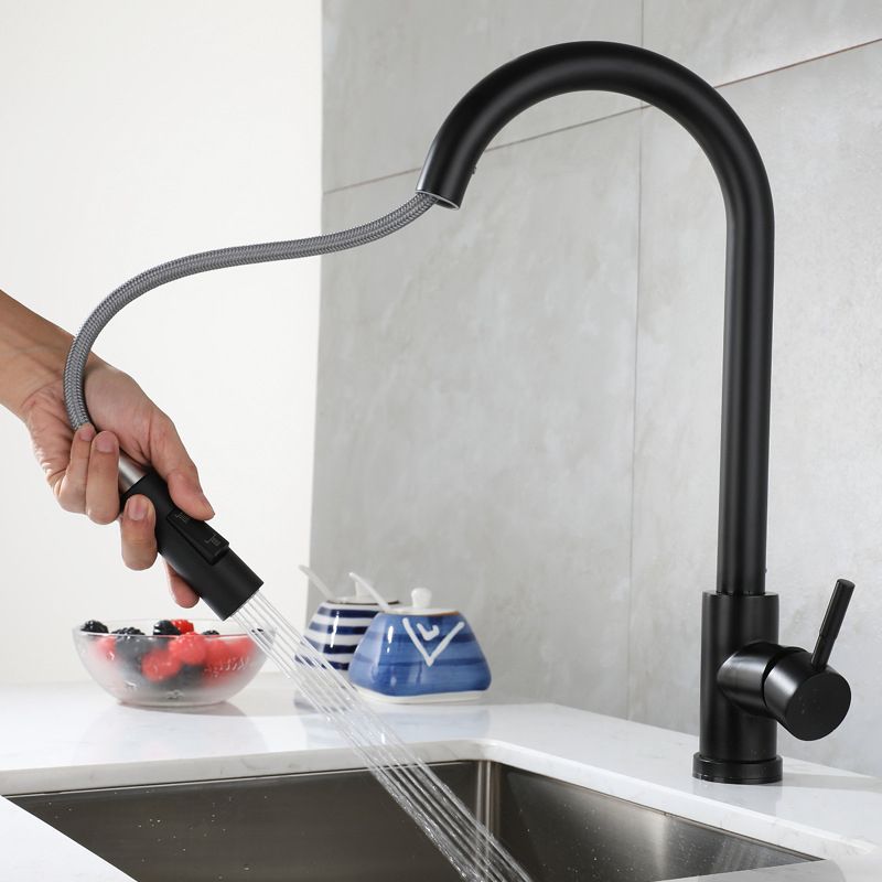 Modern Pull down Sprayer Water Filler One Handle High Arch Kitchen Faucet Clearhalo 'Home Improvement' 'home_improvement' 'home_improvement_kitchen_faucets' 'Kitchen Faucets' 'Kitchen Remodel & Kitchen Fixtures' 'Kitchen Sinks & Faucet Components' 'kitchen_faucets' 1200x1200_7c622912-c2ac-4590-a218-262ac7c1f57d