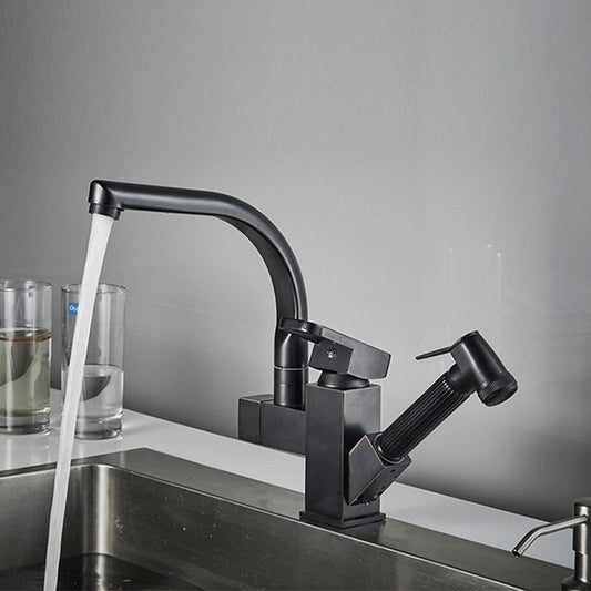 Traditional 1-Handle Faucet with Water Dispenser Standard Kitchen Faucet Clearhalo 'Home Improvement' 'home_improvement' 'home_improvement_kitchen_faucets' 'Kitchen Faucets' 'Kitchen Remodel & Kitchen Fixtures' 'Kitchen Sinks & Faucet Components' 'kitchen_faucets' 1200x1200_7c9d6b97-2933-497e-b6e7-acbe8b37e3a1