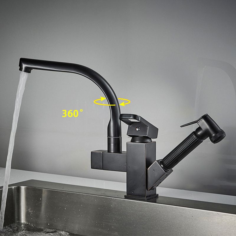 Traditional 1-Handle Faucet with Water Dispenser Standard Kitchen Faucet Clearhalo 'Home Improvement' 'home_improvement' 'home_improvement_kitchen_faucets' 'Kitchen Faucets' 'Kitchen Remodel & Kitchen Fixtures' 'Kitchen Sinks & Faucet Components' 'kitchen_faucets' 1200x1200_7ccd4224-2e73-4162-bf90-68214392843c