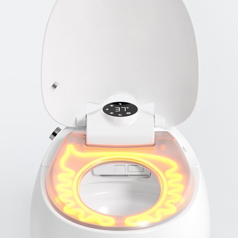 Modern 1-Piece Bidet Toilet Floor Mounted Toilet Bowl for Bathroom Clearhalo 'Bathroom Remodel & Bathroom Fixtures' 'Home Improvement' 'home_improvement' 'home_improvement_toilets' 'Toilets & Bidets' 'Toilets' 1200x1200_7ced63af-a2c8-4e8a-8698-e9caf0fbdc94