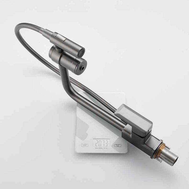 Single Handle Kitchen Faucet with Supply Lines Kitchen Sink Faucet with Pull down Sprayer Clearhalo 'Home Improvement' 'home_improvement' 'home_improvement_kitchen_faucets' 'Kitchen Faucets' 'Kitchen Remodel & Kitchen Fixtures' 'Kitchen Sinks & Faucet Components' 'kitchen_faucets' 1200x1200_7d1d6048-1ce9-44a7-86ad-05c223b93c05