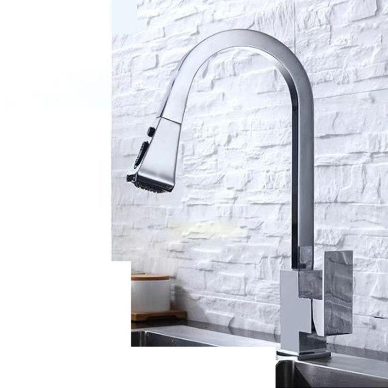 Traditional 1-Handle Faucet Copper with Pull out Sprayer with Water Dispenser Faucet Clearhalo 'Home Improvement' 'home_improvement' 'home_improvement_kitchen_faucets' 'Kitchen Faucets' 'Kitchen Remodel & Kitchen Fixtures' 'Kitchen Sinks & Faucet Components' 'kitchen_faucets' 1200x1200_7ee56189-2c84-4752-b886-4611f53437c3