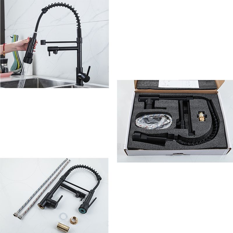 Modern Farmhouse Faucet Spout Double Levers Kitchen Faucet High Arch Filler with Sprayer Clearhalo 'Home Improvement' 'home_improvement' 'home_improvement_kitchen_faucets' 'Kitchen Faucets' 'Kitchen Remodel & Kitchen Fixtures' 'Kitchen Sinks & Faucet Components' 'kitchen_faucets' 1200x1200_7f59f622-f56c-4307-8831-5f7c02a8db9b