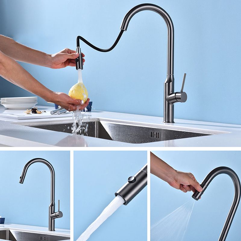 Modern 1-Handle Faucets Stainless Steel with Water Dispenser Pull down Faucets Clearhalo 'Home Improvement' 'home_improvement' 'home_improvement_kitchen_faucets' 'Kitchen Faucets' 'Kitchen Remodel & Kitchen Fixtures' 'Kitchen Sinks & Faucet Components' 'kitchen_faucets' 1200x1200_7f6ea480-3a91-4e61-8ee2-4202a41f1d89