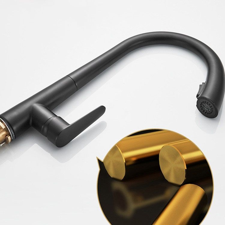 Modern 1-Handle Faucets Copper with Pull Out Sprayer Gooseneck Faucets Clearhalo 'Home Improvement' 'home_improvement' 'home_improvement_kitchen_faucets' 'Kitchen Faucets' 'Kitchen Remodel & Kitchen Fixtures' 'Kitchen Sinks & Faucet Components' 'kitchen_faucets' 1200x1200_7fbd7be0-8800-49e9-a2be-8855059c2b70