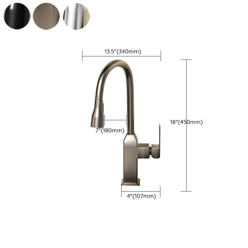 Modern Pull Down Pot Filler One Handle High Profile Filler with Sprayer Clearhalo 'Home Improvement' 'home_improvement' 'home_improvement_kitchen_faucets' 'Kitchen Faucets' 'Kitchen Remodel & Kitchen Fixtures' 'Kitchen Sinks & Faucet Components' 'kitchen_faucets' 1200x1200_7fc19532-85b6-4d38-b98d-e636006b01b7