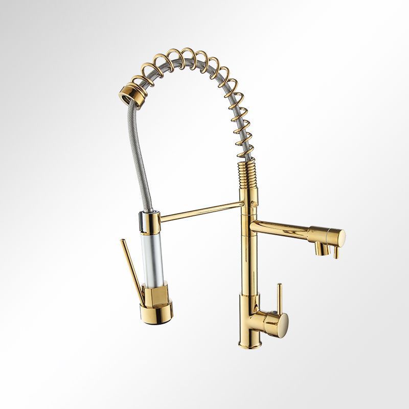 Modern Farmhouse Faucet Spring Spout Double Handles Kitchen Faucet High Arch Water Filler Clearhalo 'Home Improvement' 'home_improvement' 'home_improvement_kitchen_faucets' 'Kitchen Faucets' 'Kitchen Remodel & Kitchen Fixtures' 'Kitchen Sinks & Faucet Components' 'kitchen_faucets' 1200x1200_7ff4fcef-7a24-4563-a7b5-a7293457bf46