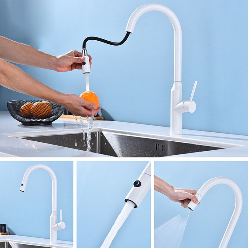 Modern 1-Handle Faucets Stainless Steel with Water Dispenser Pull down Faucets Clearhalo 'Home Improvement' 'home_improvement' 'home_improvement_kitchen_faucets' 'Kitchen Faucets' 'Kitchen Remodel & Kitchen Fixtures' 'Kitchen Sinks & Faucet Components' 'kitchen_faucets' 1200x1200_800fbcd7-7e20-4bac-9dd7-2c7215734b3e