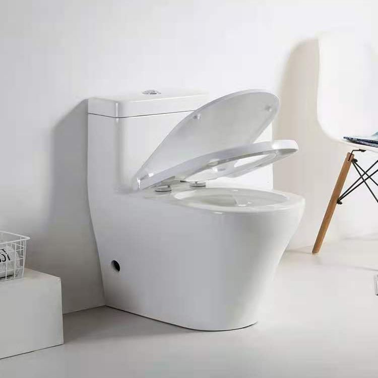 Modern Ceramic Siphon Jet Toilet Bowl Floor Mount Flush Toilet with Toilet Seat Clearhalo 'Bathroom Remodel & Bathroom Fixtures' 'Home Improvement' 'home_improvement' 'home_improvement_toilets' 'Toilets & Bidets' 'Toilets' 1200x1200_80241dd0-b8a7-40e4-8c09-f27cc4dc7c61