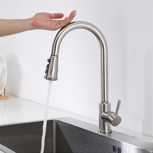 Modern 1-Handle Faucets Stainless Steel Gooseneck with Pull Out Sprayer Faucets Clearhalo 'Home Improvement' 'home_improvement' 'home_improvement_kitchen_faucets' 'Kitchen Faucets' 'Kitchen Remodel & Kitchen Fixtures' 'Kitchen Sinks & Faucet Components' 'kitchen_faucets' 1200x1200_8178df57-0497-4875-8fa6-dd4f156b4749