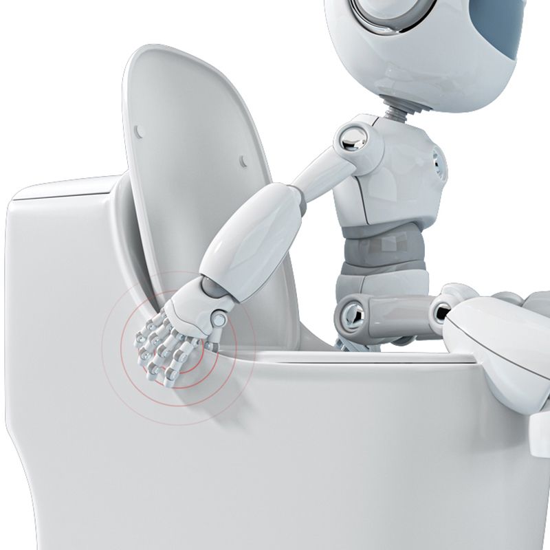 Traditional Floor Mount Toilet Slow Close Seat Included Toilet Bowl for Bathroom Clearhalo 'Bathroom Remodel & Bathroom Fixtures' 'Home Improvement' 'home_improvement' 'home_improvement_toilets' 'Toilets & Bidets' 'Toilets' 1200x1200_817e1c0d-b1b2-4848-b305-180c395ea693