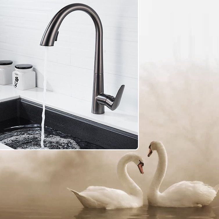 Contemporary Kitchen Faucet Copper Single Handle High Arc Kitchen Faucet Clearhalo 'Home Improvement' 'home_improvement' 'home_improvement_kitchen_faucets' 'Kitchen Faucets' 'Kitchen Remodel & Kitchen Fixtures' 'Kitchen Sinks & Faucet Components' 'kitchen_faucets' 1200x1200_81beadf0-f49f-48ed-9485-950b7e2a7bd8