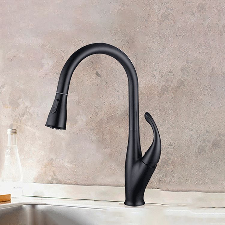 Modern 1-Handle Faucet Black/Silver Copper with Pull out Sprayer Faucet Clearhalo 'Home Improvement' 'home_improvement' 'home_improvement_kitchen_faucets' 'Kitchen Faucets' 'Kitchen Remodel & Kitchen Fixtures' 'Kitchen Sinks & Faucet Components' 'kitchen_faucets' 1200x1200_81e61fbf-2ff2-40c7-8581-256cee1852e1