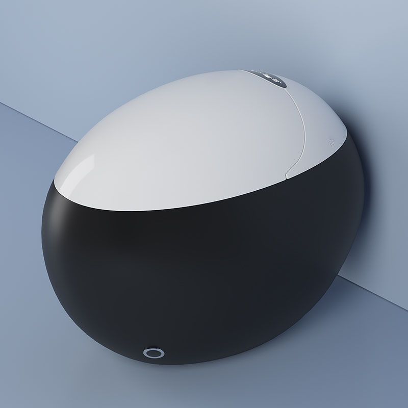 Without Water Pressure Control Floor Mount Bidet Heated Seat Bidet Clearhalo 'Bathroom Remodel & Bathroom Fixtures' 'Bidets' 'Home Improvement' 'home_improvement' 'home_improvement_bidets' 'Toilets & Bidets' 1200x1200_81e94664-4942-4789-b713-72f93a9fd752