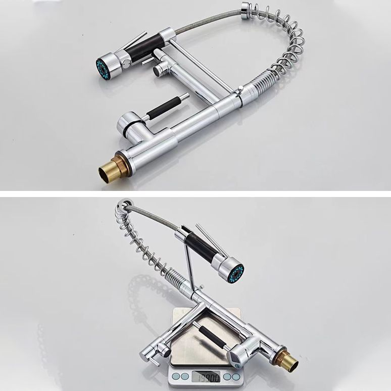 Modern Farmhouse Spring Spout Kitchen Sink Faucet Swivel Spout with Pull Down Sprayer Clearhalo 'Home Improvement' 'home_improvement' 'home_improvement_kitchen_faucets' 'Kitchen Faucets' 'Kitchen Remodel & Kitchen Fixtures' 'Kitchen Sinks & Faucet Components' 'kitchen_faucets' 1200x1200_825cb6ed-01f1-4d32-8ce6-402a06ea0e02