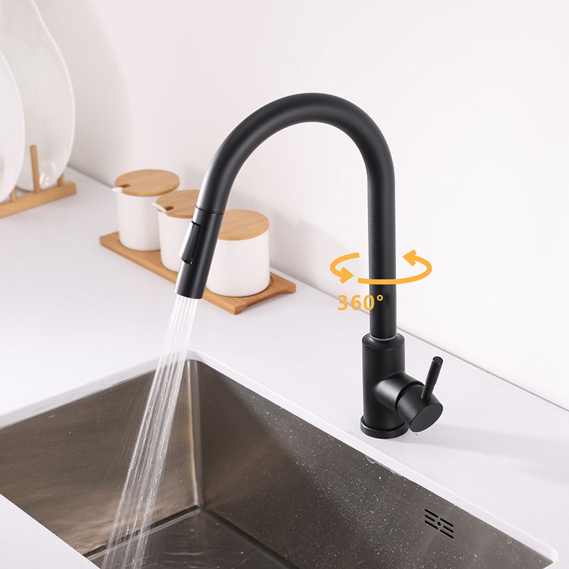 Modern 1-Handle Faucets Stainless Steel Gooseneck with Pull Out Sprayer Faucets Clearhalo 'Home Improvement' 'home_improvement' 'home_improvement_kitchen_faucets' 'Kitchen Faucets' 'Kitchen Remodel & Kitchen Fixtures' 'Kitchen Sinks & Faucet Components' 'kitchen_faucets' 1200x1200_82b0dde6-0086-4a95-bd7b-ee98cd30fd6c