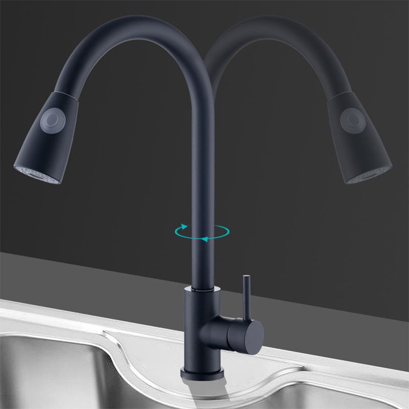 Modern Faucets 1-Handle Pull down with Water Dispenser Standard Kitchen Faucets Clearhalo 'Home Improvement' 'home_improvement' 'home_improvement_kitchen_faucets' 'Kitchen Faucets' 'Kitchen Remodel & Kitchen Fixtures' 'Kitchen Sinks & Faucet Components' 'kitchen_faucets' 1200x1200_82bcd31c-8424-43f6-aa5f-d6f6b098bb3e