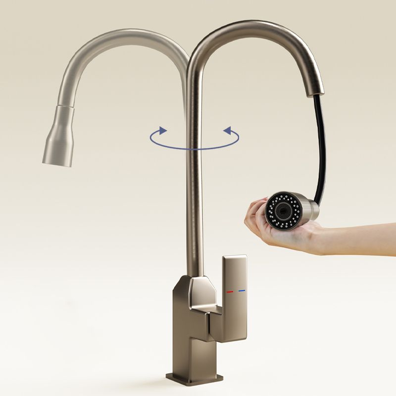 Modern Pull Down Pot Filler One Handle High Profile Filler with Sprayer Clearhalo 'Home Improvement' 'home_improvement' 'home_improvement_kitchen_faucets' 'Kitchen Faucets' 'Kitchen Remodel & Kitchen Fixtures' 'Kitchen Sinks & Faucet Components' 'kitchen_faucets' 1200x1200_83074277-116c-4d2b-b1b6-8094de7797eb