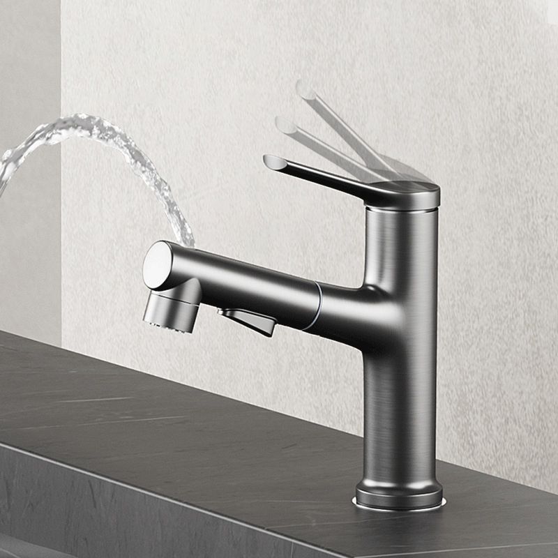 Contemporary Kitchen Faucet Single Handle 2-Function Faucet with Pull out Sprayer Clearhalo 'Home Improvement' 'home_improvement' 'home_improvement_kitchen_faucets' 'Kitchen Faucets' 'Kitchen Remodel & Kitchen Fixtures' 'Kitchen Sinks & Faucet Components' 'kitchen_faucets' 1200x1200_83a4ef12-fc1a-4d8c-b521-dfdb2a2c2a34