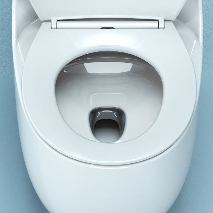 Modern White Siphon Jet Toilet Bowl Floor Mount Flush Toilet with Toilet Seat Clearhalo 'Bathroom Remodel & Bathroom Fixtures' 'Home Improvement' 'home_improvement' 'home_improvement_toilets' 'Toilets & Bidets' 'Toilets' 1200x1200_840284a7-b603-406e-8c8e-ba25966dd552