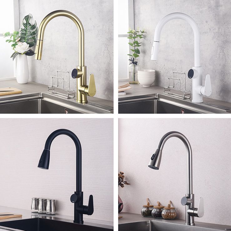 Modern Style Kitchen Faucet Stainless Steel 1-Handle High Arc Retractable Kitchen Faucet Clearhalo 'Home Improvement' 'home_improvement' 'home_improvement_kitchen_faucets' 'Kitchen Faucets' 'Kitchen Remodel & Kitchen Fixtures' 'Kitchen Sinks & Faucet Components' 'kitchen_faucets' 1200x1200_84574f5c-e7be-4871-9fec-f8c37378cfff