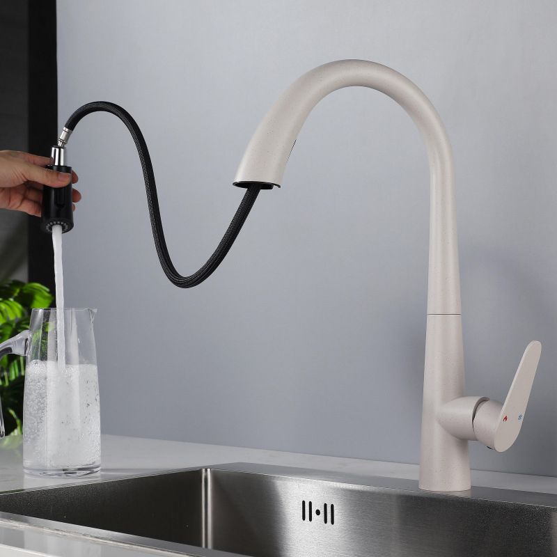 Modern Style Retractable Kitchen Faucet 304 Stainless Steel 1-Handle Kitchen Faucet Clearhalo 'Home Improvement' 'home_improvement' 'home_improvement_kitchen_faucets' 'Kitchen Faucets' 'Kitchen Remodel & Kitchen Fixtures' 'Kitchen Sinks & Faucet Components' 'kitchen_faucets' 1200x1200_851c8fbc-c252-472e-8d64-44c5d4519fcc