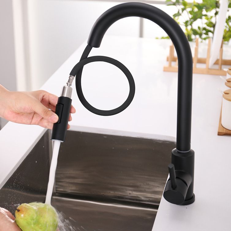 Modern 1-Handle Faucets Stainless Steel Gooseneck with Pull Out Sprayer Faucets Clearhalo 'Home Improvement' 'home_improvement' 'home_improvement_kitchen_faucets' 'Kitchen Faucets' 'Kitchen Remodel & Kitchen Fixtures' 'Kitchen Sinks & Faucet Components' 'kitchen_faucets' 1200x1200_85217adf-2ef4-4a6b-afaf-4192bb597085