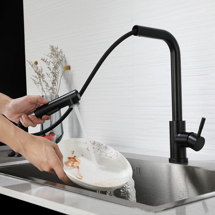 Kitchen Faucet Rod Handle Cold and Hot Controlled Kitchen Faucet Clearhalo 'Home Improvement' 'home_improvement' 'home_improvement_kitchen_faucets' 'Kitchen Faucets' 'Kitchen Remodel & Kitchen Fixtures' 'Kitchen Sinks & Faucet Components' 'kitchen_faucets' 1200x1200_8564e222-1f44-4ed3-b29d-0d75ae000910