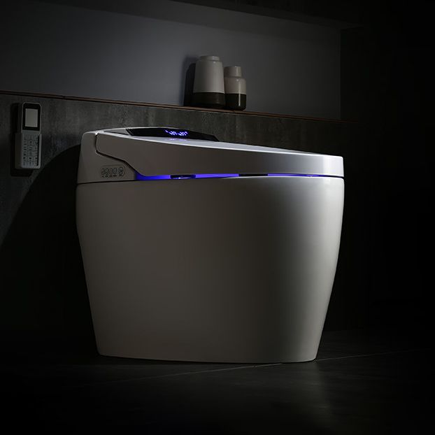 Modern 1-Piece Bidet Toilet Floor Mounted Toilet Bowl for Washroom Clearhalo 'Bathroom Remodel & Bathroom Fixtures' 'Home Improvement' 'home_improvement' 'home_improvement_toilets' 'Toilets & Bidets' 'Toilets' 1200x1200_862b0e6c-df96-4740-9b05-c9bc8fdafe97