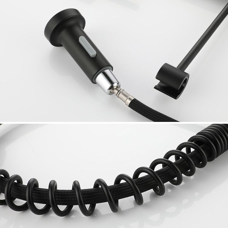 Modern Spring Spout Faucets 1-Handle 1-Hole with Water Dispenser Standard Kitchen Faucets Clearhalo 'Home Improvement' 'home_improvement' 'home_improvement_kitchen_faucets' 'Kitchen Faucets' 'Kitchen Remodel & Kitchen Fixtures' 'Kitchen Sinks & Faucet Components' 'kitchen_faucets' 1200x1200_8766f907-4883-4c64-a4f0-d1aa36668aa7