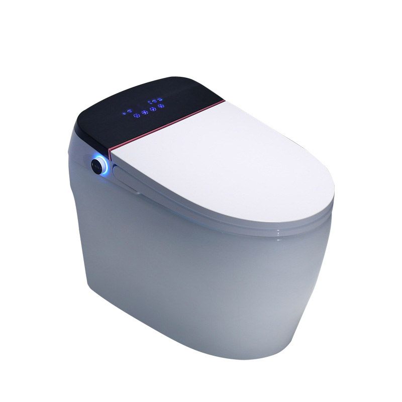 Modern All-In-One Toilet Bowl Skirted Toilet with Seat for Bathroom Clearhalo 'Bathroom Remodel & Bathroom Fixtures' 'Home Improvement' 'home_improvement' 'home_improvement_toilets' 'Toilets & Bidets' 'Toilets' 1200x1200_89653064-b491-48fd-b0b4-431b4473ff81