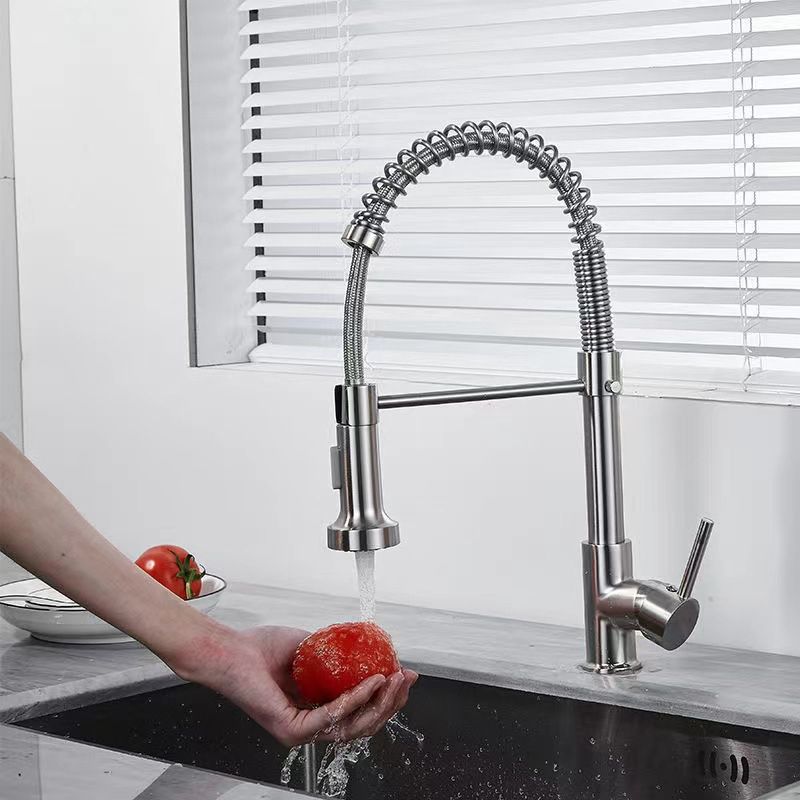 Modern Farmhouse One Handle Spring Spout Kitchen Faucet High Arch Water Filler Clearhalo 'Home Improvement' 'home_improvement' 'home_improvement_kitchen_faucets' 'Kitchen Faucets' 'Kitchen Remodel & Kitchen Fixtures' 'Kitchen Sinks & Faucet Components' 'kitchen_faucets' 1200x1200_89ee907b-f000-4a92-9b11-0eb2d419c850