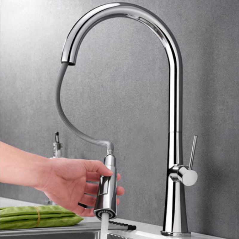 Contemporary One Handle Kitchen Faucet Pull Down 1-Hold Bar Faucet with Pull Out Sprayer Clearhalo 'Home Improvement' 'home_improvement' 'home_improvement_kitchen_faucets' 'Kitchen Faucets' 'Kitchen Remodel & Kitchen Fixtures' 'Kitchen Sinks & Faucet Components' 'kitchen_faucets' 1200x1200_89fad84f-c1c1-45af-8585-81774b62610b