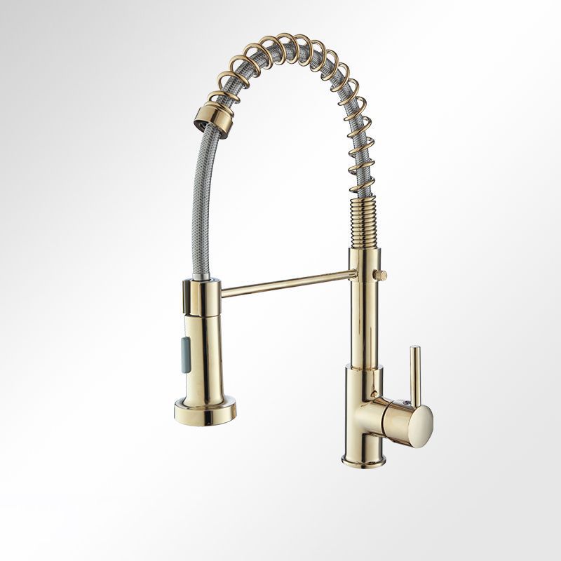 Modern Farmhouse Spring Spout One Lever Kitchen Faucet High Arch Water Filler Clearhalo 'Home Improvement' 'home_improvement' 'home_improvement_kitchen_faucets' 'Kitchen Faucets' 'Kitchen Remodel & Kitchen Fixtures' 'Kitchen Sinks & Faucet Components' 'kitchen_faucets' 1200x1200_8a31558b-fc14-434f-a88d-62dbde24cd35