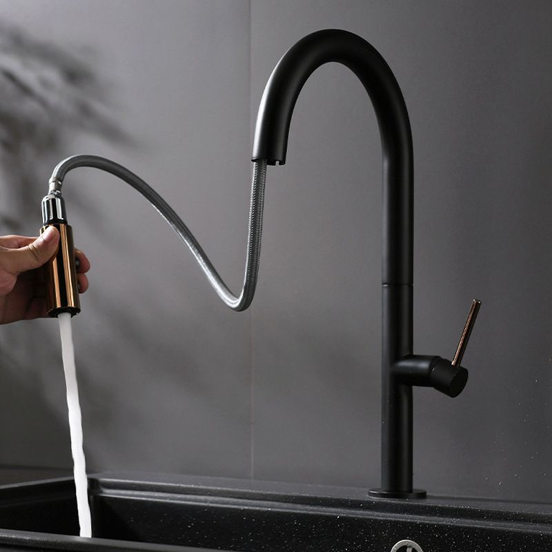 Pull Down Kitchen Faucet Single Handle 2-Function Faucet with Pull Out Sprayer Clearhalo 'Home Improvement' 'home_improvement' 'home_improvement_kitchen_faucets' 'Kitchen Faucets' 'Kitchen Remodel & Kitchen Fixtures' 'Kitchen Sinks & Faucet Components' 'kitchen_faucets' 1200x1200_8a713898-ad35-46f2-9a58-a5c643a3aec2