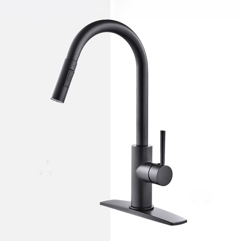 304 Stainless Steel Kitchen Faucet 3-Function Spray High Arc with Pull down Sprayer Clearhalo 'Home Improvement' 'home_improvement' 'home_improvement_kitchen_faucets' 'Kitchen Faucets' 'Kitchen Remodel & Kitchen Fixtures' 'Kitchen Sinks & Faucet Components' 'kitchen_faucets' 1200x1200_8a778c00-2cac-486a-a41d-2928ac7e1206