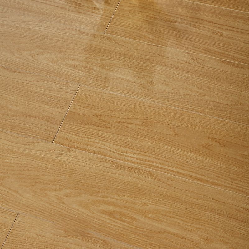 Scratch Resistant Wood Laminate Floor Textured Laminate Flooring Clearhalo 'Flooring 'Home Improvement' 'home_improvement' 'home_improvement_laminate_flooring' 'Laminate Flooring' 'laminate_flooring' Walls and Ceiling' 1200x1200_8a923035-9293-41de-a1b4-572521d4c664