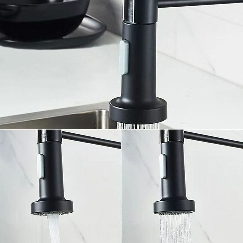 Modern 1-Handle Faucet Spring Spout with Water Dispenser Standard Kitchen Faucet Clearhalo 'Home Improvement' 'home_improvement' 'home_improvement_kitchen_faucets' 'Kitchen Faucets' 'Kitchen Remodel & Kitchen Fixtures' 'Kitchen Sinks & Faucet Components' 'kitchen_faucets' 1200x1200_8a928744-56ae-4832-b9ea-e80c1e12ca17