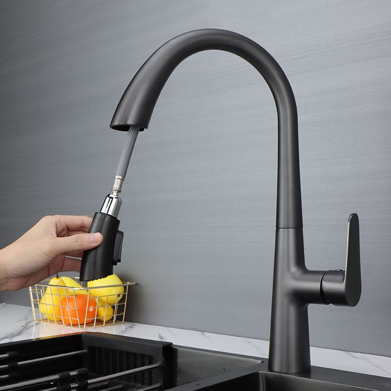 Modern Pot Filler Kitchen Faucet Brass Lever Handles Pull out Faucet Kitchen Faucet Clearhalo 'Home Improvement' 'home_improvement' 'home_improvement_kitchen_faucets' 'Kitchen Faucets' 'Kitchen Remodel & Kitchen Fixtures' 'Kitchen Sinks & Faucet Components' 'kitchen_faucets' 1200x1200_8ad492f5-0935-42d4-8b5a-ee6412e21e5b