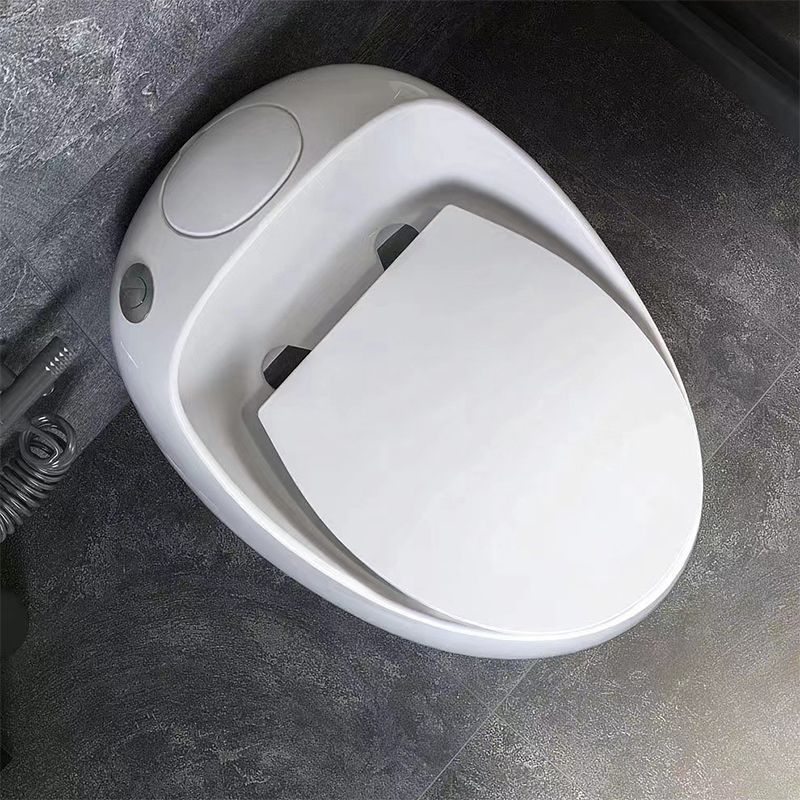 Modern Floor Mount Flush Toilet Siphon Jet Urine Toilet with Seat for Bathroom Clearhalo 'Bathroom Remodel & Bathroom Fixtures' 'Home Improvement' 'home_improvement' 'home_improvement_toilets' 'Toilets & Bidets' 'Toilets' 1200x1200_8af68de3-0e3a-4392-b1ba-343ad1beced1