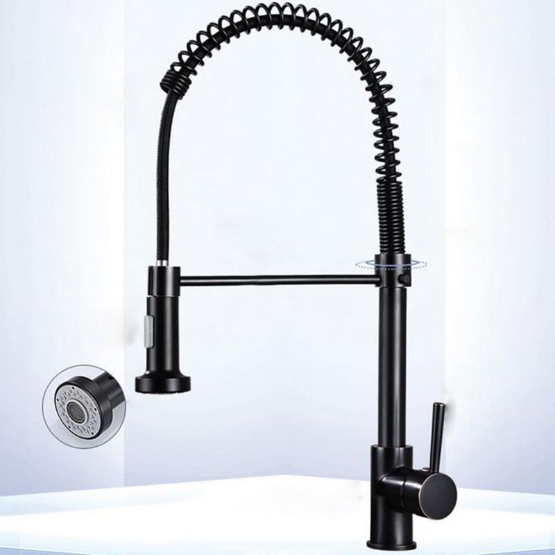 Modern Farmhouse Faucet Spring Spout Water Filler One Handle High Arch Kitchen Faucet Clearhalo 'Home Improvement' 'home_improvement' 'home_improvement_kitchen_faucets' 'Kitchen Faucets' 'Kitchen Remodel & Kitchen Fixtures' 'Kitchen Sinks & Faucet Components' 'kitchen_faucets' 1200x1200_8c4813cb-4984-465d-b825-a683168e9909