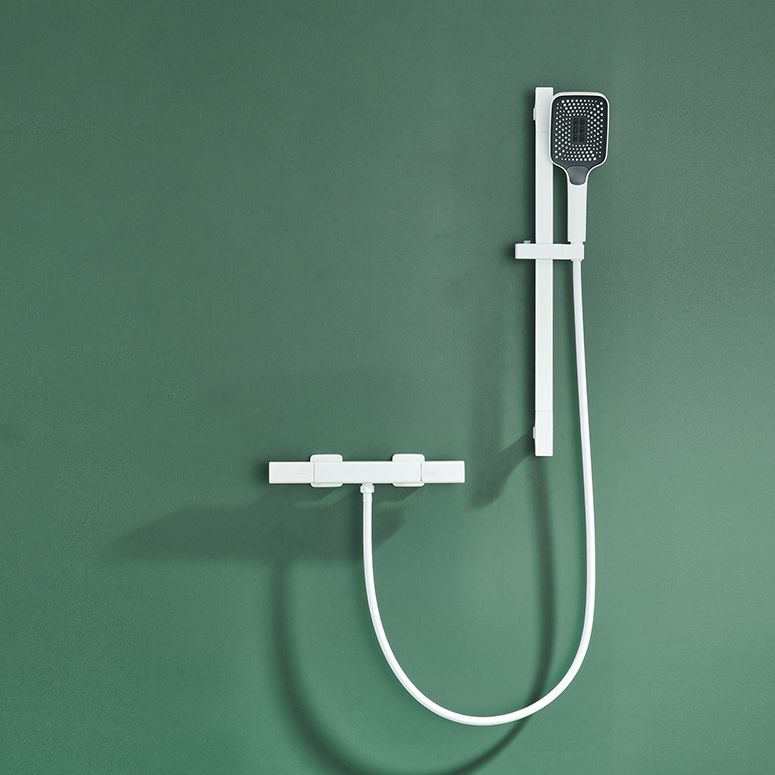 Temperature Control Shower System Adjustable Spray Pattern with Handheld Shower Head Clearhalo 'Bathroom Remodel & Bathroom Fixtures' 'Home Improvement' 'home_improvement' 'home_improvement_shower_faucets' 'Shower Faucets & Systems' 'shower_faucets' 'Showers & Bathtubs Plumbing' 'Showers & Bathtubs' 1200x1200_8c6c36cc-3a07-40f1-ae48-98eb71cf775c