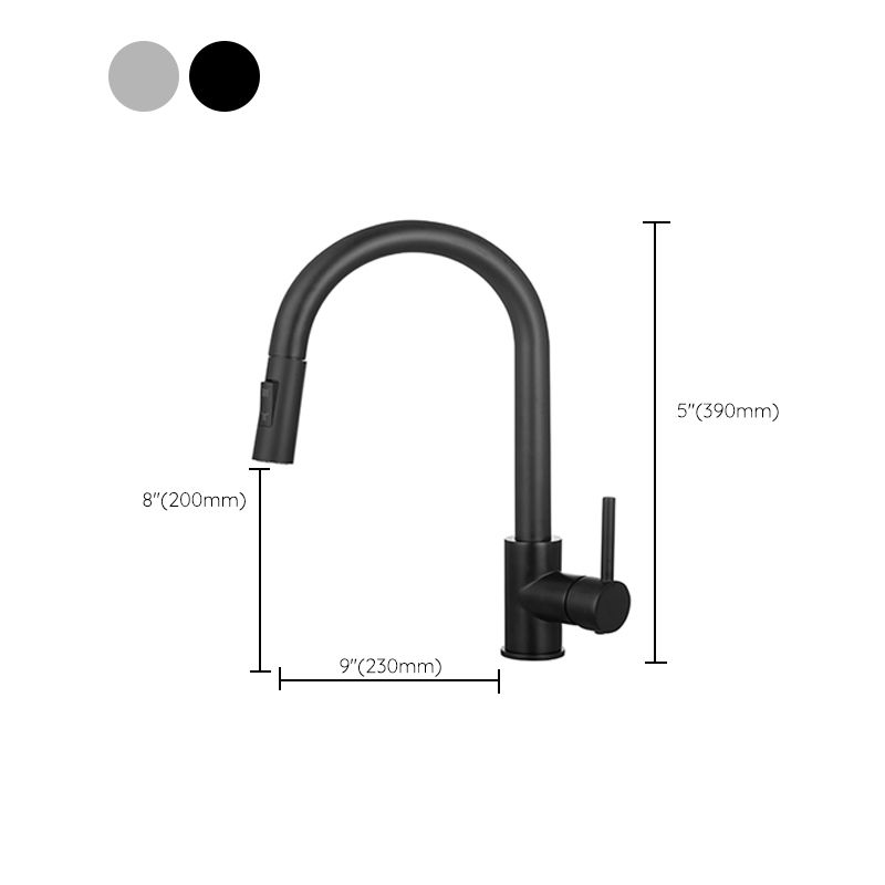Modern Style Kitchen Faucet Gooseneck Kitchen Faucet with Pull down Sprayer Clearhalo 'Home Improvement' 'home_improvement' 'home_improvement_kitchen_faucets' 'Kitchen Faucets' 'Kitchen Remodel & Kitchen Fixtures' 'Kitchen Sinks & Faucet Components' 'kitchen_faucets' 1200x1200_8cded113-8a01-42d7-b17a-a8269831799d
