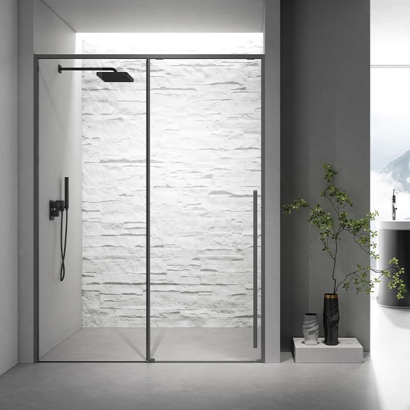 Gray Narrow Side Shower Door Single Sliding Door Tempered Glass Shower Door Clearhalo 'Bathroom Remodel & Bathroom Fixtures' 'Home Improvement' 'home_improvement' 'home_improvement_shower_tub_doors' 'Shower and Tub Doors' 'shower_tub_doors' 'Showers & Bathtubs' 1200x1200_8d2573cb-3bf7-439c-9e4e-f05916dbc52b