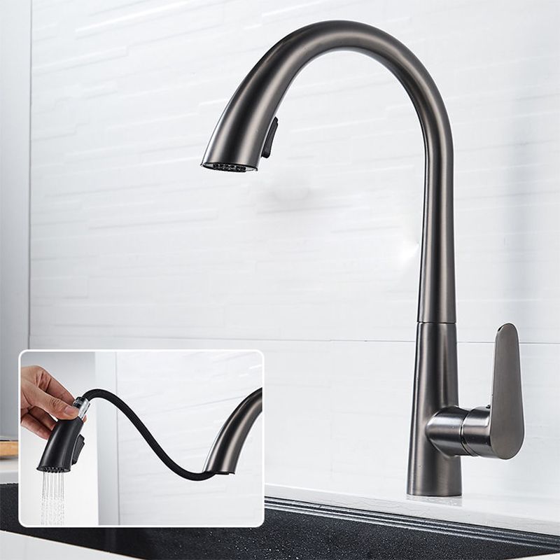Modern 1-Handle Faucet Pull down Stainless Steel Standard Kitchen Faucet Clearhalo 'Home Improvement' 'home_improvement' 'home_improvement_kitchen_faucets' 'Kitchen Faucets' 'Kitchen Remodel & Kitchen Fixtures' 'Kitchen Sinks & Faucet Components' 'kitchen_faucets' 1200x1200_8dac5be0-5a2d-47b7-9961-b553bcd56c45