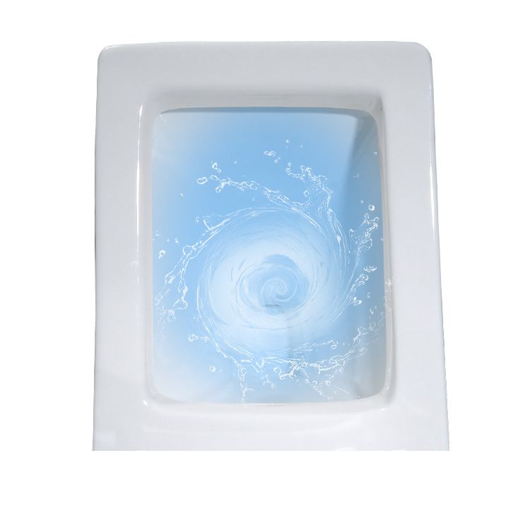 Skirted Traditional Toilet Floor Mount One-Piece Toilet with Slow Close Seat Clearhalo 'Bathroom Remodel & Bathroom Fixtures' 'Home Improvement' 'home_improvement' 'home_improvement_toilets' 'Toilets & Bidets' 'Toilets' 1200x1200_8e0a6019-e4c8-40c6-8145-8373ffd497a3